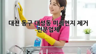 대전 동구 대성동 미세먼지 제거 전문업체