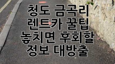 청도 금곡리 렌트카 꿀팁! 놓치면 후회할 정보 대방출 🚗💨