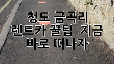 청도 금곡리 렌트카 꿀팁 🚗💨 지금 바로 떠나자!